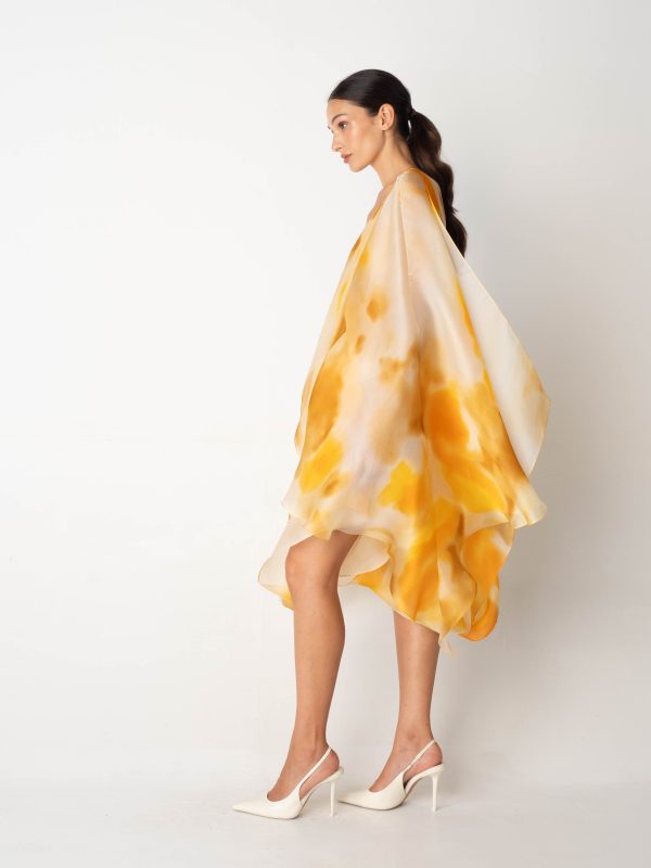 Butterfly Cape Dress 1 - Image 3