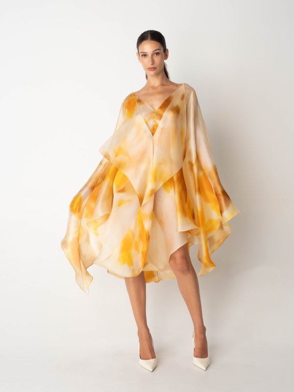 Butterfly Cape Dress 1